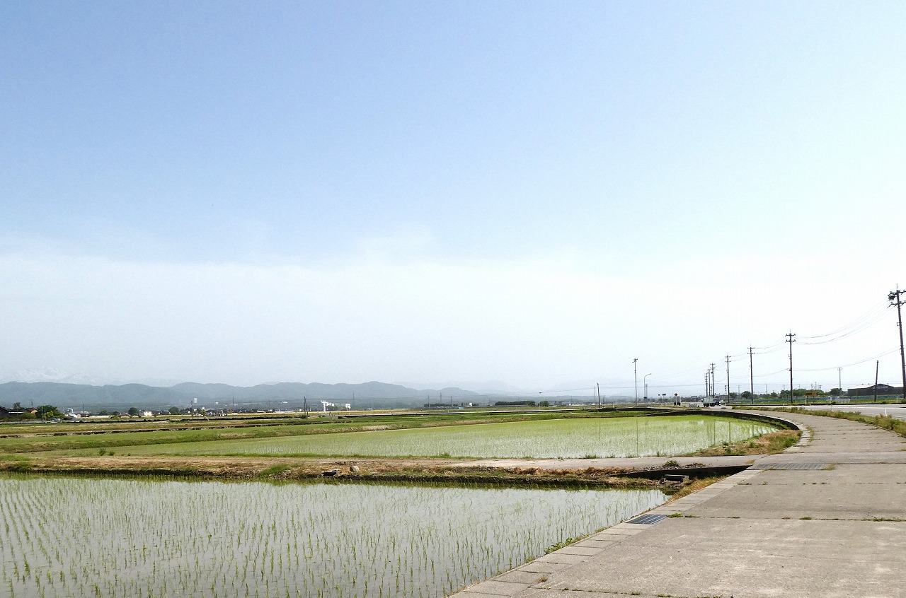 売農地　(白山市内方新保町)